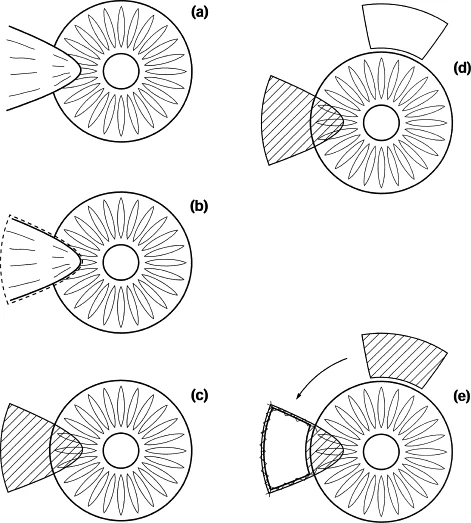 Excision of the pterygium, and placement of a conjunctival autograft